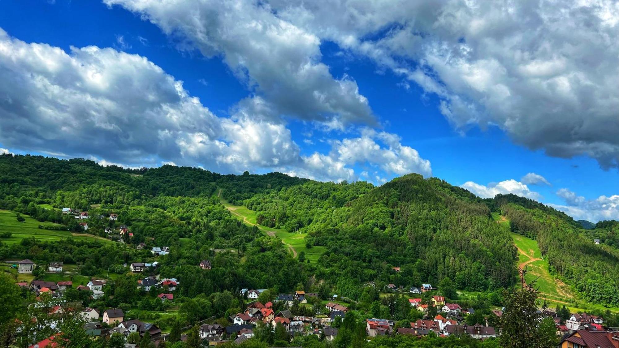 Studio Z Widokiem Na Palenice Szczawnica Exterior photo